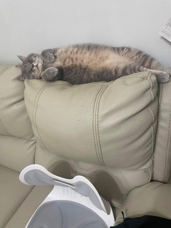 Hàng Hot! Phân khúc 5 tỷ, Căn nhà đẹp nhất Đống Đa, Thanh Xuân, 27m2, 4 tầng, không thể đẹp hơn!