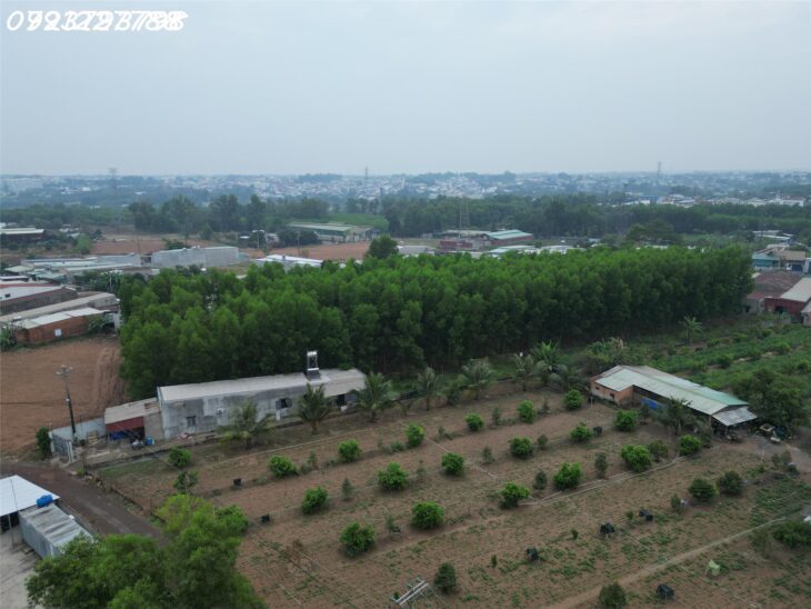 Bán đất Bình Minh ngay trung tâm khu dân cư gần UBND xã, trường học liên hệ 0921227788