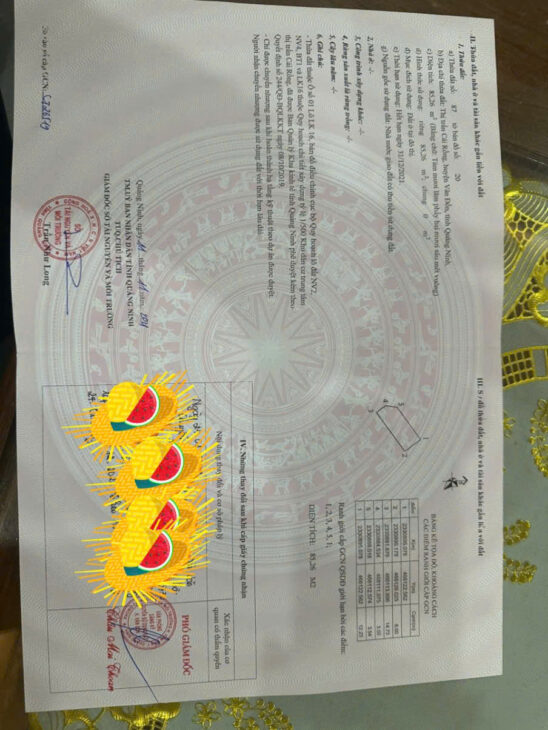 Cơ hội vàng sở hữu đất nền KĐT Vương Long Vân Đồn – Giá tốt, vị trí đẹp, pháp lý rõ ràng