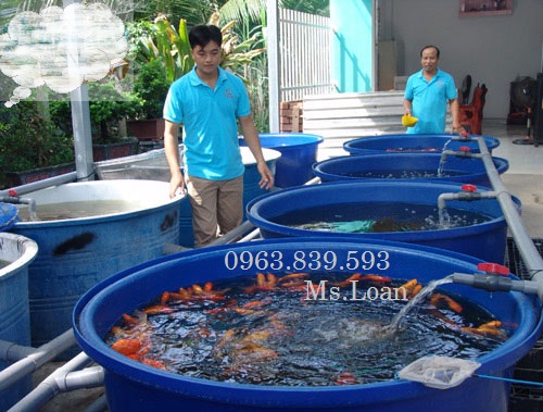 Thùng tròn 1500lit – thùng nhựa nuôi cá 1500L rẻ sẵn kho q12 / lh 0963 839 593 Ms.Loan