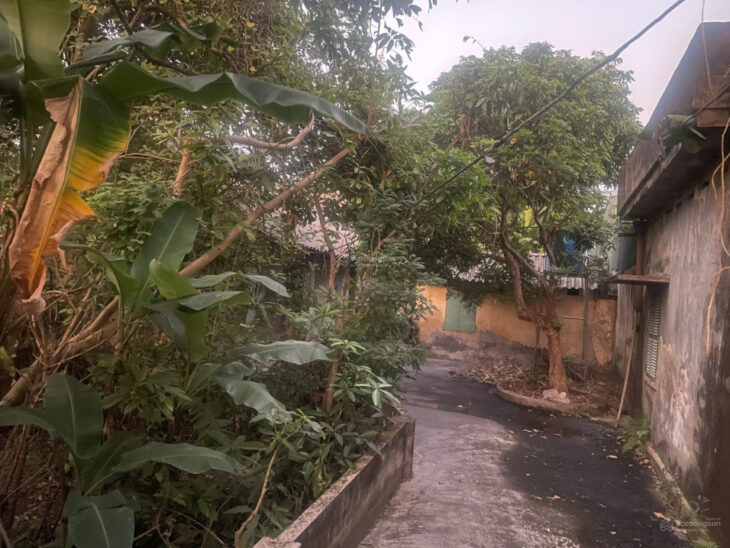Bán đất tổ 13, TT. Quỳnh Côi, Quỳnh Phụ, Thái Bình diện tích 125m2 giá chỉ hơn 1 tỷ đường rộng 4.5m