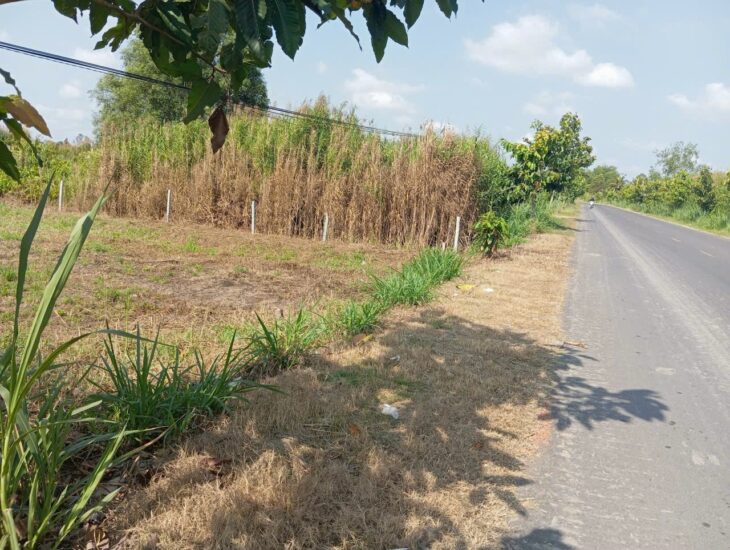 Bán Đất Mặt Tiền, Xã Nguyễn Văn Thảnh, Bình Tân, Vĩnh Long – 2 miếng Giá 390 Triệu Và 600TR