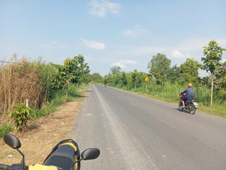 Bán Đất Mặt Tiền, Xã Nguyễn Văn Thảnh, Bình Tân, Vĩnh Long – 2 miếng Giá 390 Triệu Và 600TR