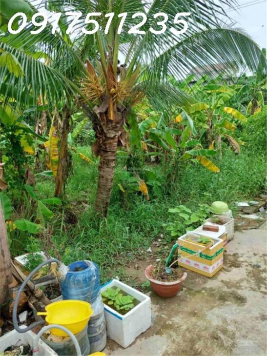cần bán gấp lô đất, 2.632m2 thổ cư 860m2, mặt tiền đường Võ Nguyên Giáp cách vòng xoay 2km, LH:
