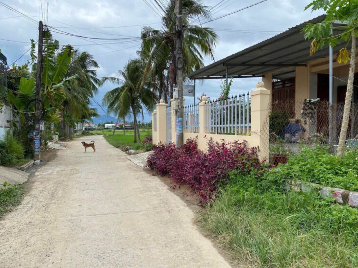 Chủ cần bán nhanh lô đất Diên Điền đường qh 8m_Lh 0982273122