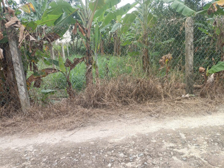 ????????Diên Phước – Diên khánh chủ cần bán gấp giá chỉ 650tr_LH 0982273122