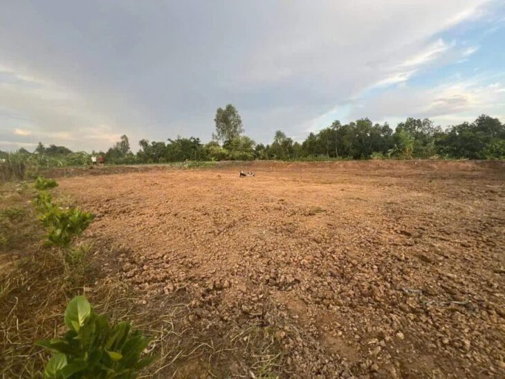 Bán Đất Mặt Tiền, Xã Nguyễn Văn Thảnh, Bình Tân, Vĩnh Long – 2 miếng Giá 390 Triệu Và 600TR