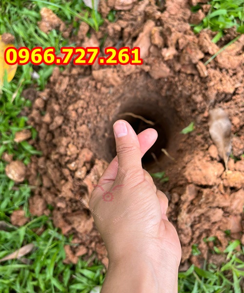 Máy khoan đất khoan lỗ trồng cây có khung xe đẩy Mitsubishi TB43