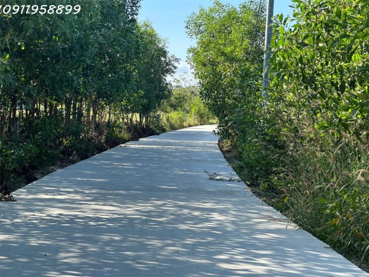 Bán đất thổ cư Hẻm Lý Nam Đế, Tân Phước, Thị xã LaGi giá ngộp 750 triệu