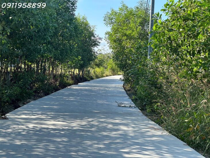 Bán đất thổ cư Hẻm Lý Nam Đế, Tân Phước, Thị xã LaGi giá ngộp 750 triệu