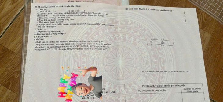 BÁN ĐẤT 89M2 MẶT BÌA LƯƠNG QUY XUÂN NỘN ĐÔNG ANH – ĐƯỜNG THÔNG Ô TÔ TRÁNH