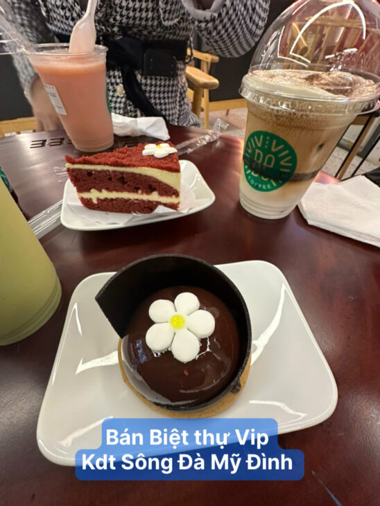 Biệt thự Mỹ Đình Sông Đà 193m2 giá 310tr 1m