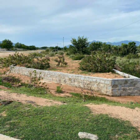 LÔ GÓC 2 MẶT TIỀN – TÁI ĐỊNH CƯ THUẬN NAM – NINH THUẬN