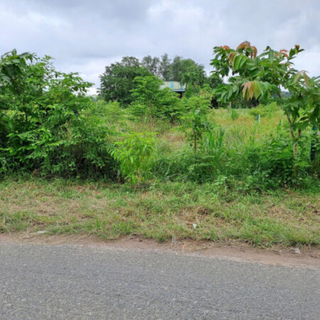 CHÍNH CHỦ CẦN BÁN GẤP ĐẤT MẶT TIỀN ĐƯỜNG GỐC RƯNG AN NHƠN TÂY, CỦ CHI