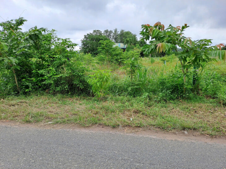 CHÍNH CHỦ CẦN BÁN GẤP ĐẤT MẶT TIỀN ĐƯỜNG GỐC RƯNG AN NHƠN TÂY, CỦ CHI