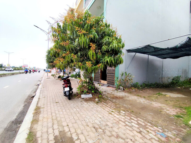 Bán đất mặt đường Bùi Viện – Tái định cư Tam Kỳ, 63m, Mt 4.2m, Giá 4.72 tỉ