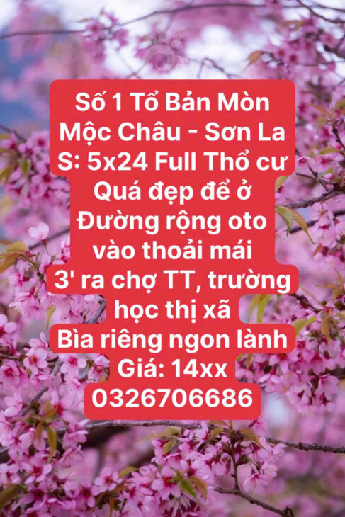 ĐẤT VÀNG NGHỈ DƯỠNG RỘNG RẺ MỘC CHÂU