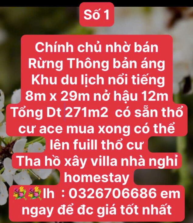 ĐẤT VÀNG NGHỈ DƯỠNG RỘNG RẺ MỘC CHÂU