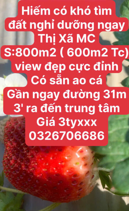 ĐẤT VÀNG NGHỈ DƯỠNG RỘNG RẺ MỘC CHÂU