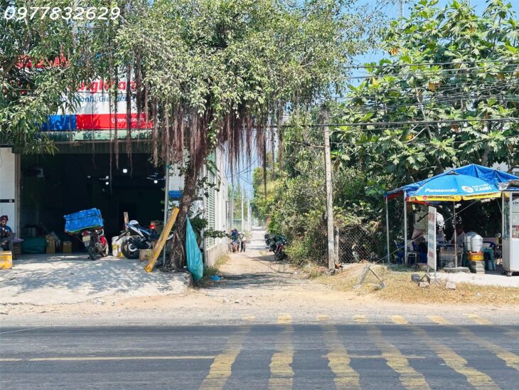 Bán đất 10m x 20m thổ cư Tân Phước – TX LaGi giá rẻ nhất 1.2 tỷ