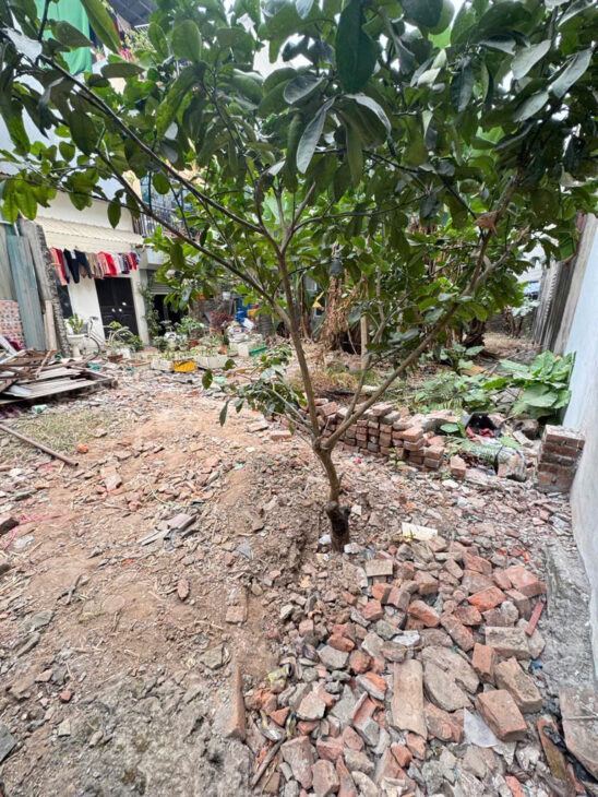 CỰC HIẾM – NGỌC THỤY TỔ 36 – 38M2 – 2TY4 – TẶNG GPXD – 1 NHÀ RA PHỐ – OTO – SỔ ĐỎ CHÍNH CHỦ – PHÁP