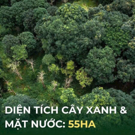 Rừng Eco Retreat Long An Có Gì Mà Giới Siêu Giàu Săn Đón