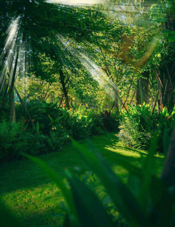 Rừng Eco Retreat Long An Có Gì Mà Giới Siêu Giàu Săn Đón