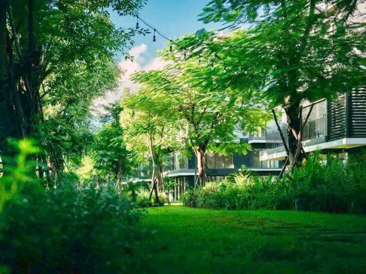 Rừng Eco Retreat Long An Có Gì Mà Giới Siêu Giàu Săn Đón