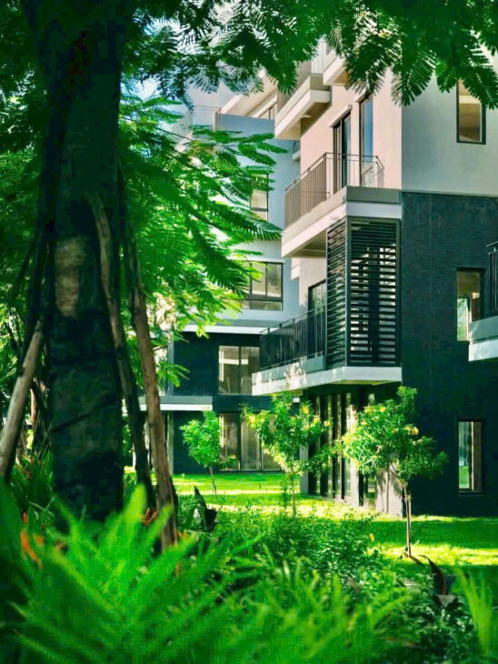 Rừng Eco Retreat Long An Có Gì Mà Giới Siêu Giàu Săn Đón
