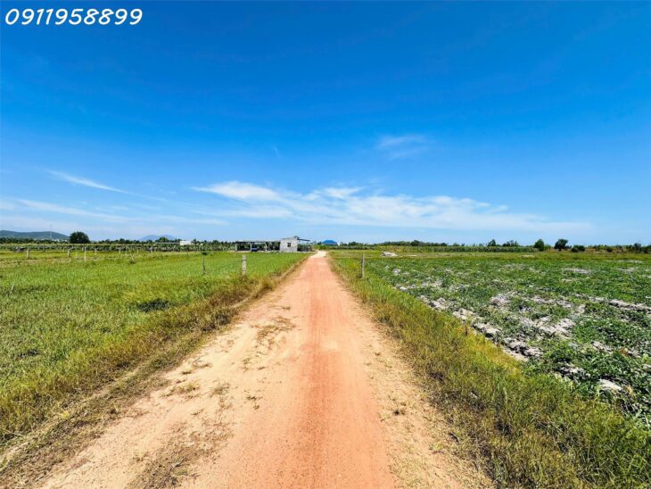 Bán 1 sào đất Tân Bình, thị xã LaGi giá ngộp chỉ 900 triệu sổ riêng gần biển