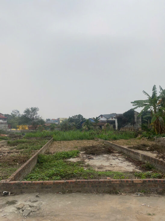 BÁN ĐẤT THANH TRÍ, MINH PHÚ, SÓC SƠN, HÀ NỘI. 97M2, 2 MẶT TIỀN. GIÁ 24,5 TR/M