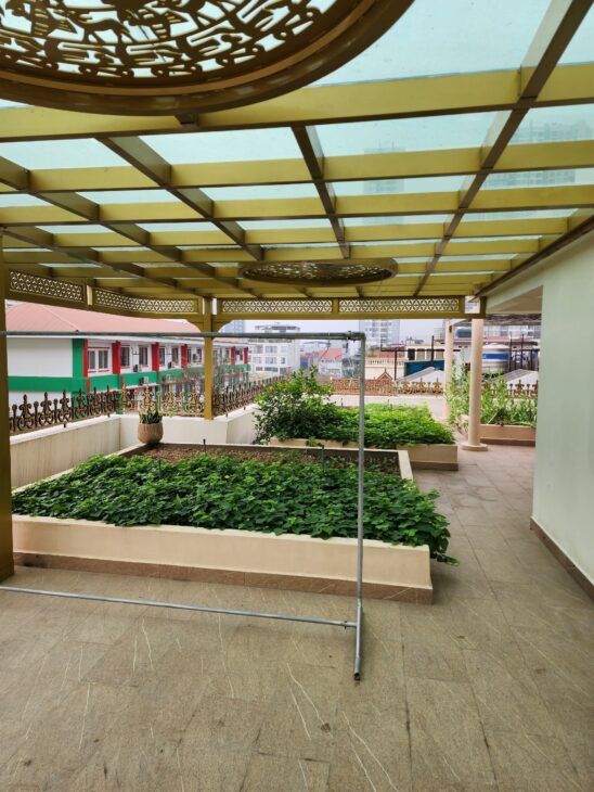 Bán biệt thự song lập 160m2 mt10m Trần Kim Xuyến Trung Hoà Cầu Giấy 6x tỷ