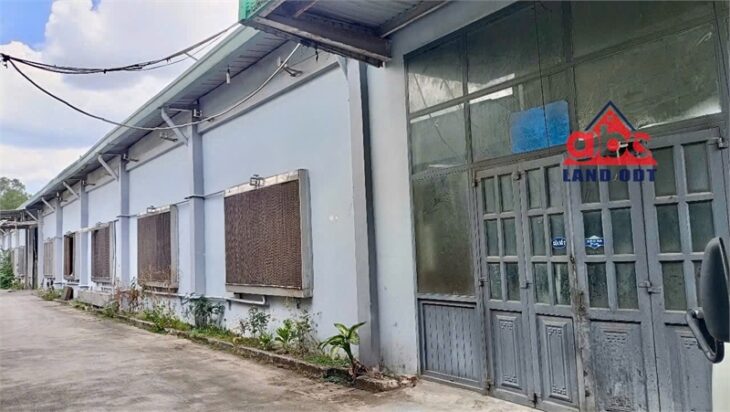 XT174 nhà xưởng sản xuất ngoài khu, tiếp nhận đa dạng ngành nghề. bàn giao SX liền
