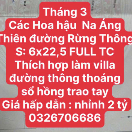 THÍCH HỢP XÂY VILLA MINI TẠI RỪNG THÔNG MỘC CHÂU