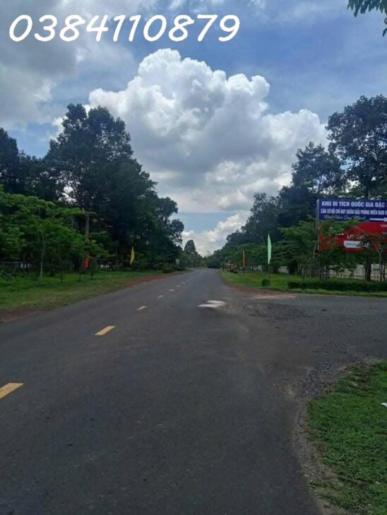 BÁN 248HA CAO SU, LỘC NINH, BÌNH PHƯỚC