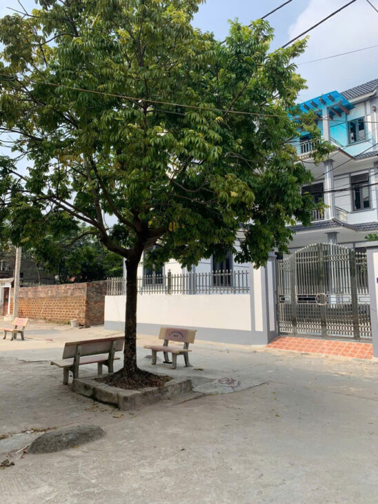 45.5M2 ĐẤT PHỤNG THƯỢNG, PHÚC THỌ, HÀ NỘI GIÁ 1.55 TỶ Ô TÔ 5 CHỖ VÀO NHÀ