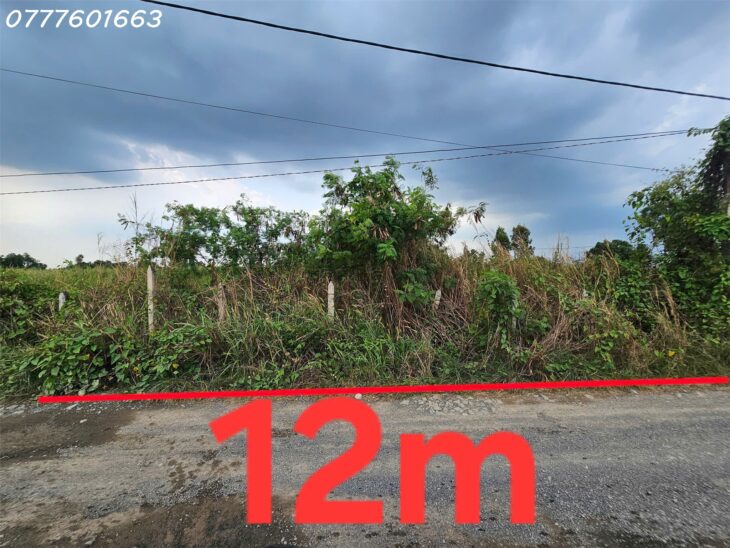 Bán Đất Xuân Thới Sơn 850m2 XÂY khu biệt thự, LÀM KHO XƯỞNG, ĐƯỜNG XE TẢI THÔNG TỨ TUNG Giá 11.5t