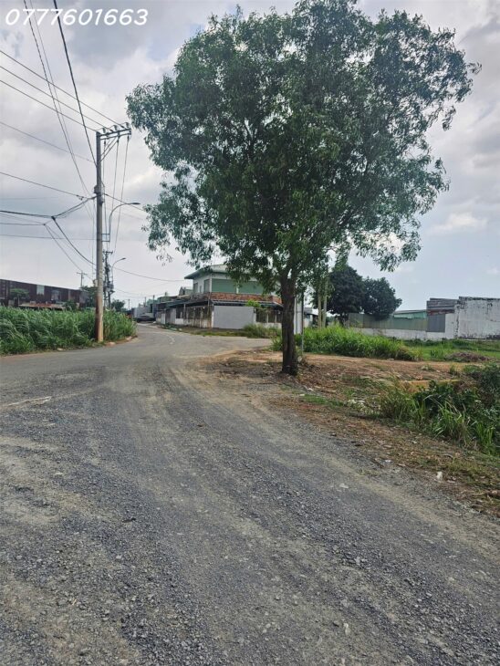 Bán Đất Xuân Thới Sơn 850m2 XÂY khu biệt thự, LÀM KHO XƯỞNG, ĐƯỜNG XE TẢI THÔNG TỨ TUNG Giá 11.5t