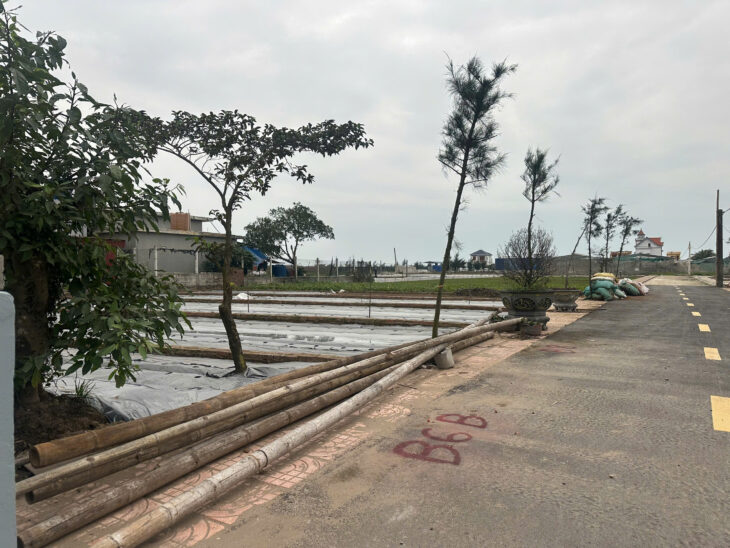 Đất nền Nam Định 100m2 sổ đỏ thổ cư gần biển Giao Phong, Quất Lâm