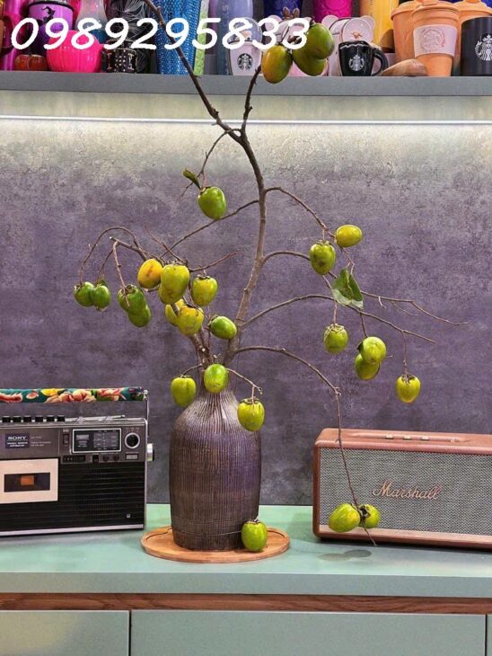 CĂN HỘ NỘI THẤT XỊN – VIEW CỰC ĐẸP – Ở NGAY