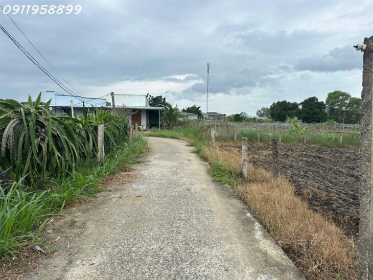 Bán 183m2 đất Hẻm Đinh Công Tráng, Tân Tiến, thị xã LaGi chỉ 650 triệu gần biển