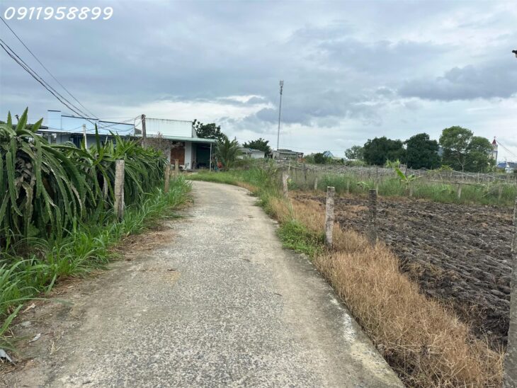 Bán 183m2 đất Hẻm Đinh Công Tráng, Tân Tiến, thị xã LaGi chỉ 650 triệu gần biển