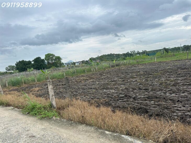 Bán 183m2 đất Hẻm Đinh Công Tráng, Tân Tiến, thị xã LaGi chỉ 650 triệu gần biển