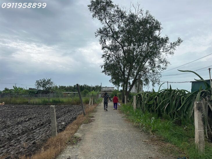 Bán 183m2 đất Hẻm Đinh Công Tráng, Tân Tiến, thị xã LaGi chỉ 650 triệu gần biển