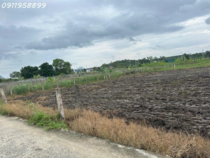 Bán 183m2 đất Hẻm Đinh Công Tráng, Tân Tiến, thị xã LaGi chỉ 650 triệu gần biển