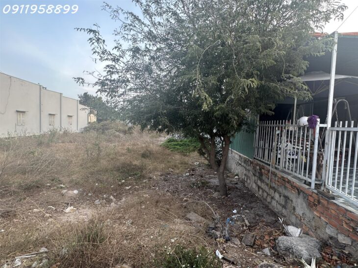 Bán 6m x 35m đất thổ cư Đường Lý Thái Tổ, Thị xã LaGi sát biển Tam Tân giá rẻ nhất