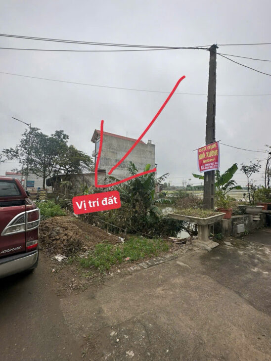 CHÍNH CHỦ CẦN BÁN NHANH LÔ ĐẤT TẠI QL 17 -XUÂN LAI-GIA BÌNH-BẮC NINH