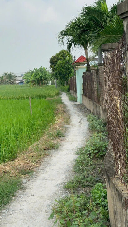 CHÍNH CHỦ CẦN BÁN NHANH ĐẤT TẠI ẤP AO GÒN, XÃ TÂN LÂN , CẦN ĐƯỚC, LONG AN