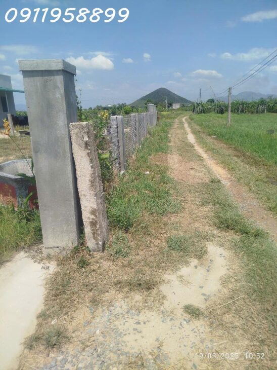 Bán nhà 804m2 Tân Tiến, thị xã LaGi gần Biển giá ngộp 1.5 tỷ