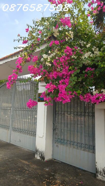 NHÀ-VƯỜN DIỆN TÍCH KHỦNG 2835M2 VUÔNG VỨC , NỞ HẬU GIÁP SÔNG SÀI GÒN TẠI HOCMON GIÁ 33 TỶ (TL)